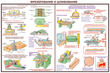 ПС09 Безопасность труда при деревообработке (пластик, А2, 5 листов) - Плакаты - Безопасность труда - ohrana.inoy.org